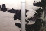 192 Zeng Mi (1935-)