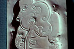Disc (bi)