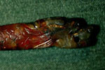 Orifice Stopper