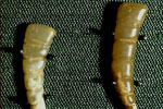 Pair of Silk Worm Pendants