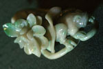 Frog under lotus pad